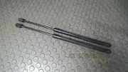 Heckklappend�mpferpaar Suzuki SX4 Ey/gy