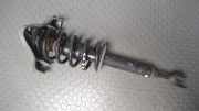 Federbein Vorn Links Audi Audi A4 8E/8H/QB6