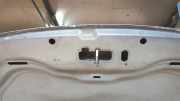 Motorhaube Ford KA RU8