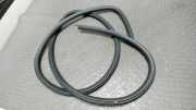 T�rdichtung Vorne Rechts Ford Focus DBW/DAW/DFW/DNW/DB1/DA1