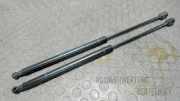 Heckklappend�mpferpaar Fiat Idea 350
