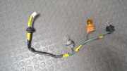 Lampenträger/ Lampenfassung Hinten Links Mitsubishi Space Star DG0