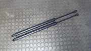 Heckklappend�mpferpaar Renault Modus P 8200219322