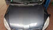 Motorhaube Skoda Fabia 5J