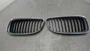 K�hlergrill / Nierenpaar BMW 3er E90 / E91/