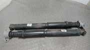 Stossd�mpferpaar Hinten Citroen C 4 L
