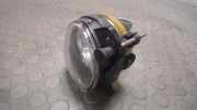 Nebelscheinwerfer Links VW Polo 9 N