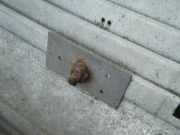 Stoßfänger / Stoßstange Vorne Renault R 5 122 B, B/C 40