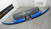 K�hlergrill Peugeot 206 2KFX/2NFZ/