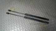 Heckklappend�mpferpaar Opel Zafira B 13128759