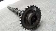 Nockenwelle Auslass BMW X 5 E53