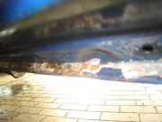 TÜR Vorne Rechts (2/3-türer) Fiat Stilo 192