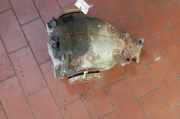 Hinterachsgetriebe / Differential Mercedes-benz E-klasse 210 0187194282