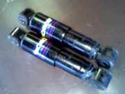 Stossdämpferpaar Hinten Fiat Punto 176