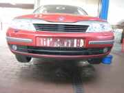 Sto�f�nger / Sto�stange Vorne Renault Laguna G