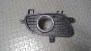Luftgitter/ Blende Nebelscheinwerfer Rechts Mercedes-benz A-klasse 169 A1698850822