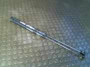 Haubendämpferpaar Fiat Stilo 192