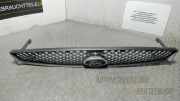 K�hlergrill Ford Focus DBW/DAW/DFW/DNW/DB1/DA1