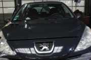 Motorhaube Peugeot 206 2KFX/2NFZ/
