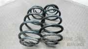 Hintere Federn / Federsatz Hinten Opel Meriva X01