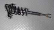 Federbein Vorn Rechts Audi Audi A4 8E/8H/QB6