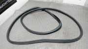 T�rdichtung Vorne Links (4/5-T�RER) Citroen C 4 L