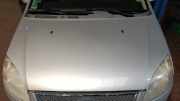 Motorhaube Ford Focus DM2