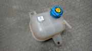 Ausgleichsbehälter Fiat Doblo 263