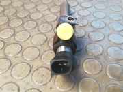 Dieseleinspritzdüse Peugeot 307 3RHY/3RFN/3NFU/3RHS/3KFU/2RFK 9636819380