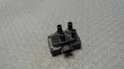 Zündspule Ford Focus DBW/DAW/DFW/DNW/DB1/DA1 0221503490