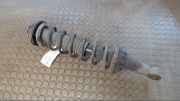 Federbein Hinten Rechts Rover Rover 200 RF