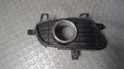 Blende Nebelscheinwerfer Rechts Mercedes-benz A-klasse 169 A1698850822
