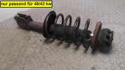 Federbein Vorn Links Renault Clio B/C 57