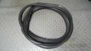 T�rdichtung Links ( 2/3 T�rer ) Fiat Grande Punto 199
