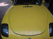 Motorhaube Fiat Barchetta 183