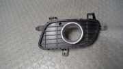 Blende Nebelscheinwerfer Links Mercedes-benz A-klasse 169 A1698850722