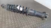 Federbein Hinten Links Lexus IS XE1