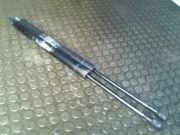 Heckklappend?mpferpaar VW Sharan 7 M