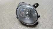 Nebelscheinwerfer Links VW Passat 3BG/3BL/3BS
