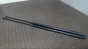 Heckklappendämpferpaar Ford Transit F..y (02/00 - 12/05 ) F..6 (05/06 - ) 1C15V406A10DC