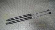 Heckklappend�mpferpaar Renault Clio R 8200299546