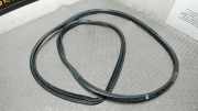 T�rdichtung Vorne Links Hyundai Santa Fe CM
