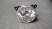 Nebelscheinwerfer Links Peugeot 206 2KFX/2NFZ/