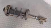 Federbein Hinten Rechts Suzuki Baleno EG