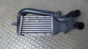 Ladeluftk�hler Opel Zafira A 24436438