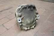 Hinterachsgetriebe / Diffrenzial ( Bastler ) Mercedes-benz SLK 170