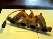 Auspuffkrümmer Ford Fiesta Jbs/jas IF1496MF943I