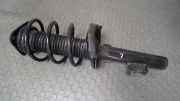 Federbein Vorn Links ( Benzin ) Ford Focus DA3/DB3 4M5118K001AA