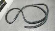 T�rdichtung Vorne Links Ford Focus DBW/DAW/DFW/DNW/DB1/DA1