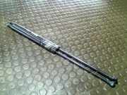 Haubend?mpferpaar Citroen C 5 D6FZ/DRFN/DRLZ/DXFX/DRHZ/D4HX